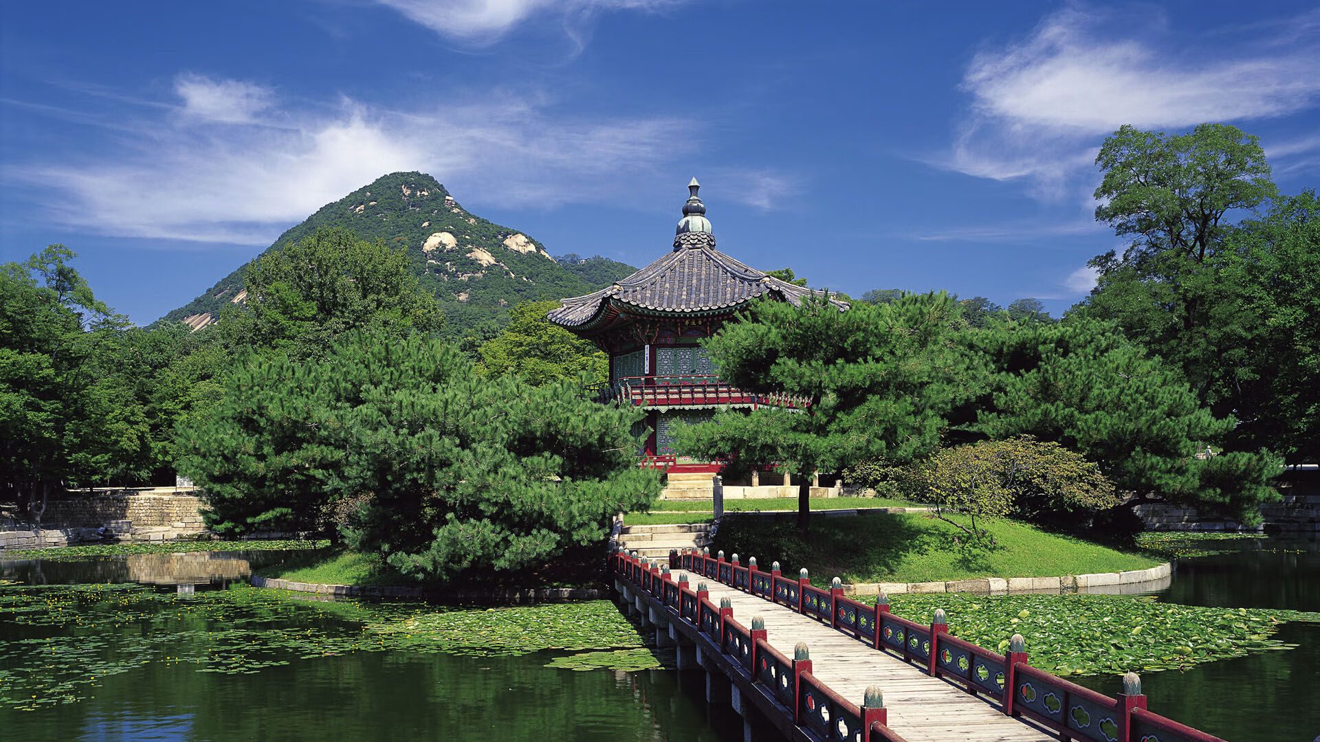 九游体育网页版-“未来之星”青少年篮球明星培养工程在湖北全面铺开，助推青训产业发展